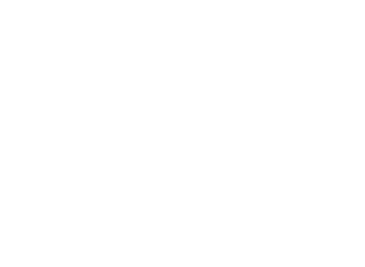 Professional Photographers of America logo, white
