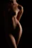 Torso and hip curve emerging from shadow, warm-toned fine art bodyscape in Dallas