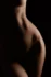 Warm-toned curve of the waist and hip against black, fine art nude